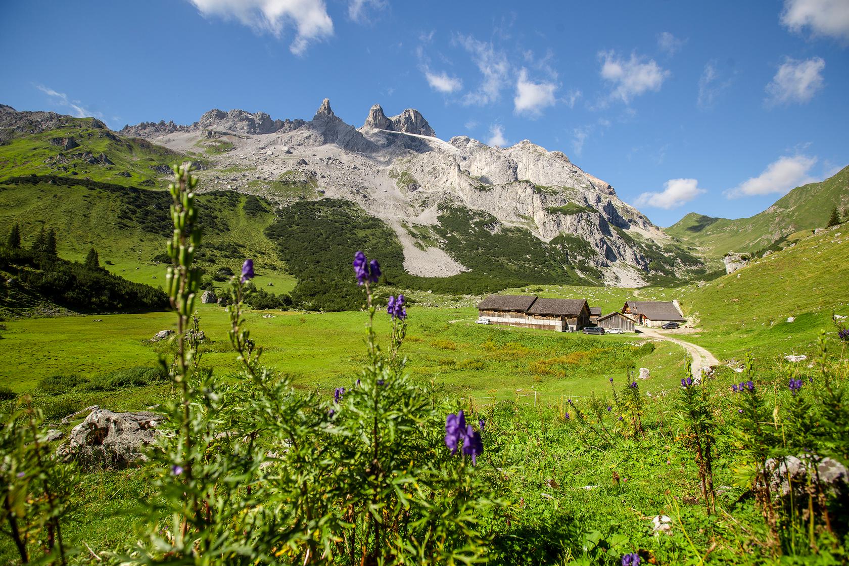 Blick auf die Alpe Spora im Montafon